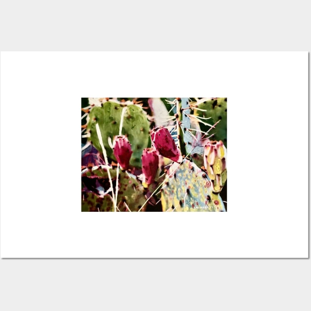 Texas Cactus Fantasy Wall Art by gjspring